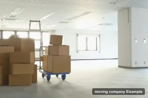 Ameer Transporte, moving companies in Sant Antoni (photo 2)