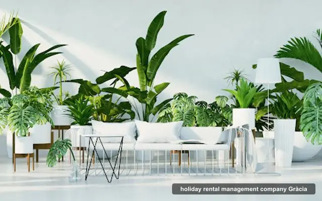 ecohostingBCN, holiday rental management company in Gràcia, Barcelona