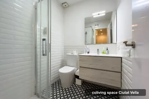 Live It Gothic, Barcelona Coliving, coliving spaces in el Barri Gòtic (photo 3)