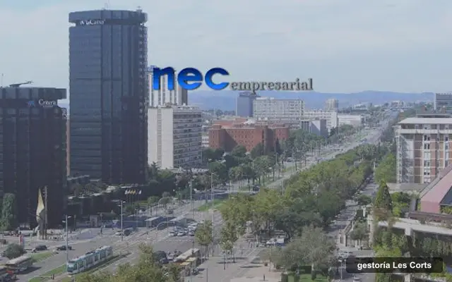 NEC EMPRESARIAL, S.L., gestoría in Les Corts, Barcelona