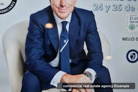 Nello D'Angelo, commercial real estate agencies in la Dreta de l'Eixample (photo 2)