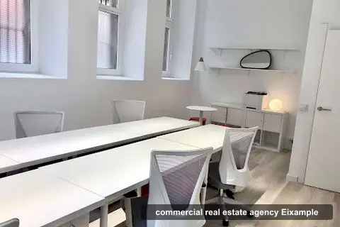 VirtualAndGo, commercial real estate agencies in la Dreta de l'Eixample (photo 3)
