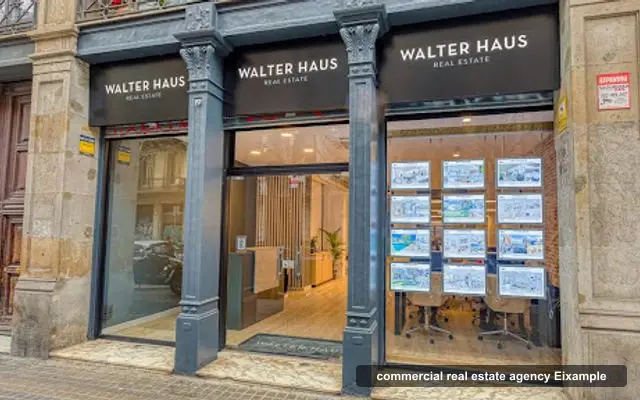 Walter Haus, commercial real estate agency in Eixample, Barcelona